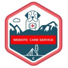 website care service - infinite profit